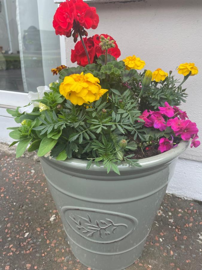 Unique Belfast Stay Dış mekan fotoğraf